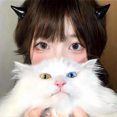 树袋熊